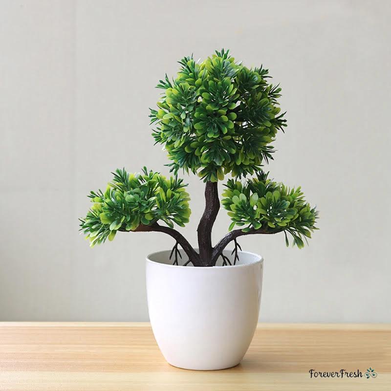 Bush-Mix Bonsai