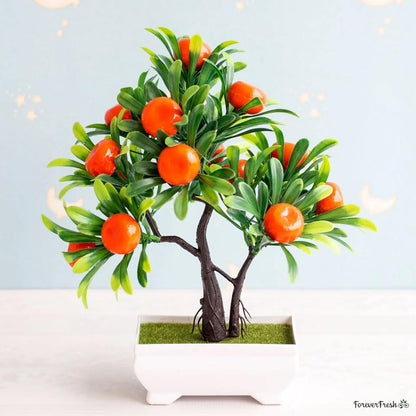 Orange Bonsai Tree