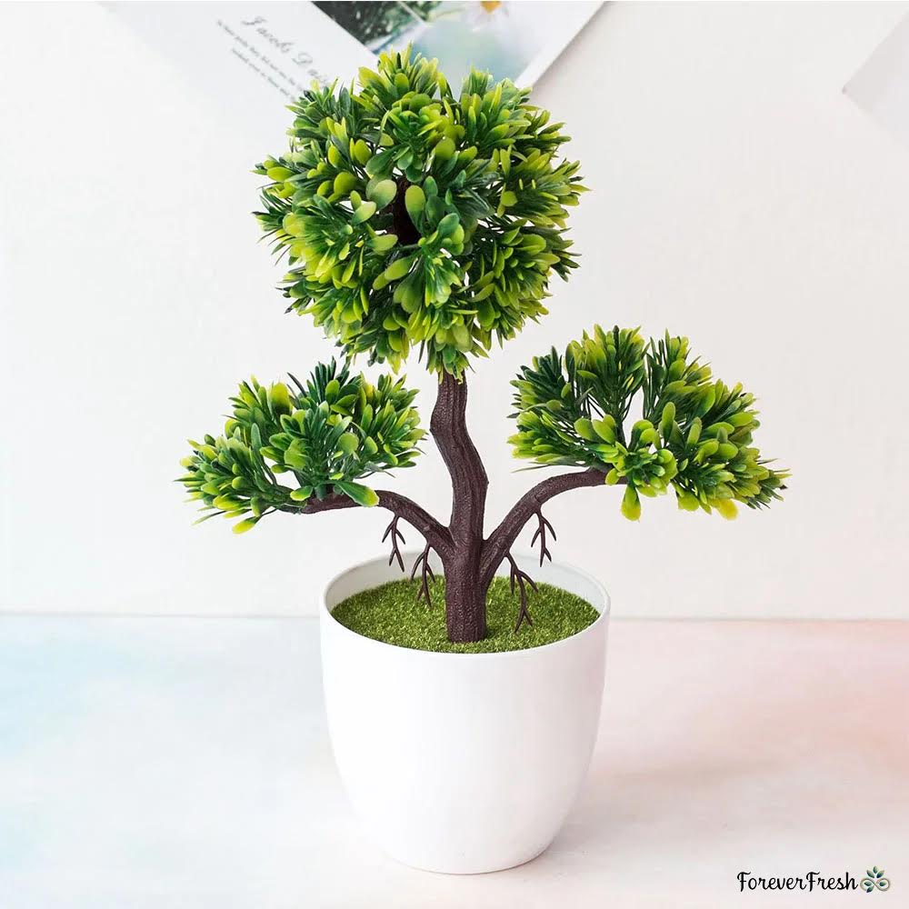 Bush-Mix Bonsai