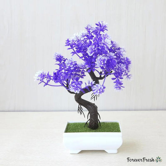 Lush Bonsai Tree