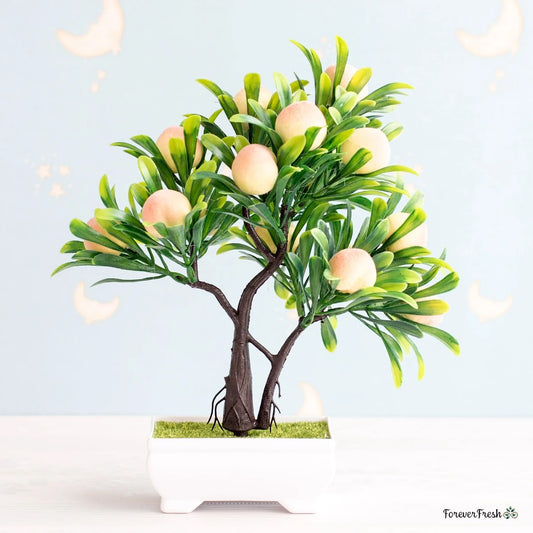 Peach Bonsai Tree