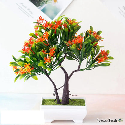 Orange Honeysuckle Bonsai Tree